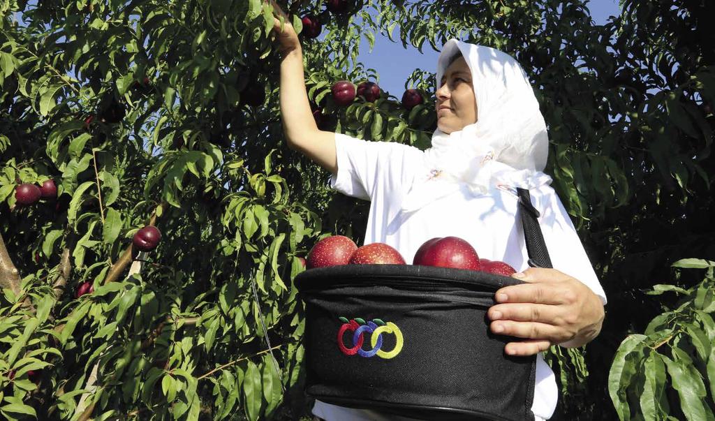 TOPLUMLA ilişkiler AGRO Akademi Avrupa nın önde gelen taze meyve ve meyve suyu konsantresi tedarikçilerinden biri olma vizyonuna sahip olan Anadolu Etap, meyve yetiştirmek için dünyadaki en iyi