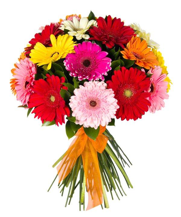 AYIN SORUSU Konuşan bir çiçek olsaydın insanlara ne söylemek isterdin? EMİR:Seni çok seviyorum. AYŞE:Çiçekler çok güzel kokar.