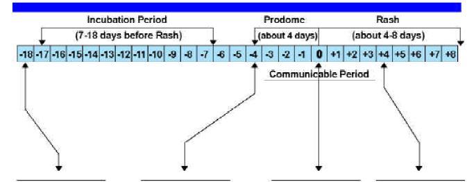 Hastalık süreci ve bulaşma Olası Temas (18 gün önce) Döküntü başlamadan 4 gün önce bulaşıcı Klinik Bulgular