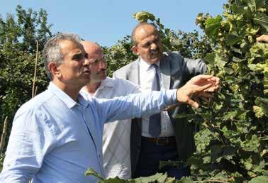 Borsamız tarafından 2014 yılında hayata geçirilen Fındıkta Verim ve Kaliteyi Arttırma Projesi kapsamında, Türkiye de ilk olarak tek gövdeli ve aşılı ağaç sistemine sahip bahçe Trabzon un Ortahisar