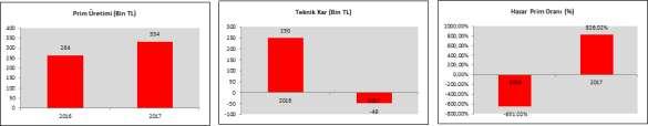 Branş teknik zarar oluşturmaya 2017 yılında da devam etmiştir. Bunun yukarıda açıklanan mevzuat değişiklikleri dışında bir diğer önemli sebebi de 2016/11 No.