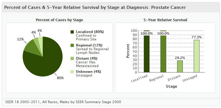 Prostat Ka seri İ