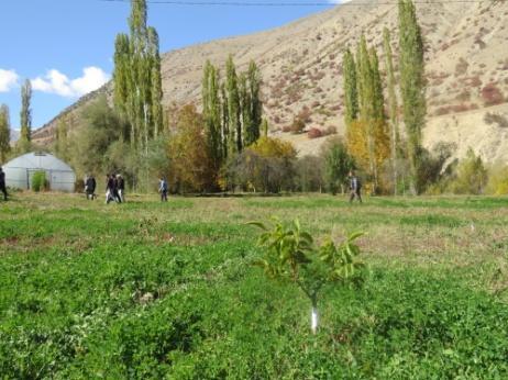 890 kg tohum güğümü Harcama tutarı : - - Uygulama yılı : 2016-2017 2016-2017 Açıklamalar : Tortum Kuzey Mikrohavzasında Tortum Kuzey Mikrohavzasında Ahır şartlarının iyileştirilmesi Yem bitkileri