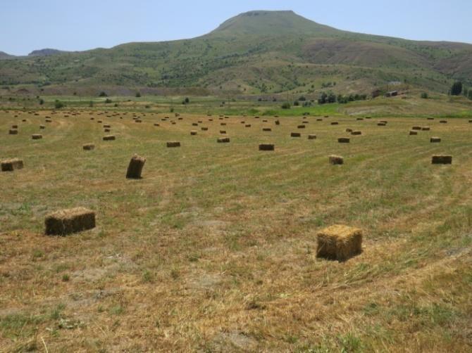 3 Mikrohavzası : Taht (UC-11) Köyü / Mevki : Taht Köyü Ana Faaliyet Adı : Isı Yalıtımı ve Sobalı Kalorifer Sistemi Proje