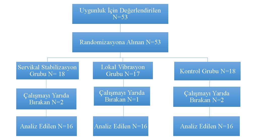 34 Şekil 3.1. Çalışmanın akış diyagramı 3.2.