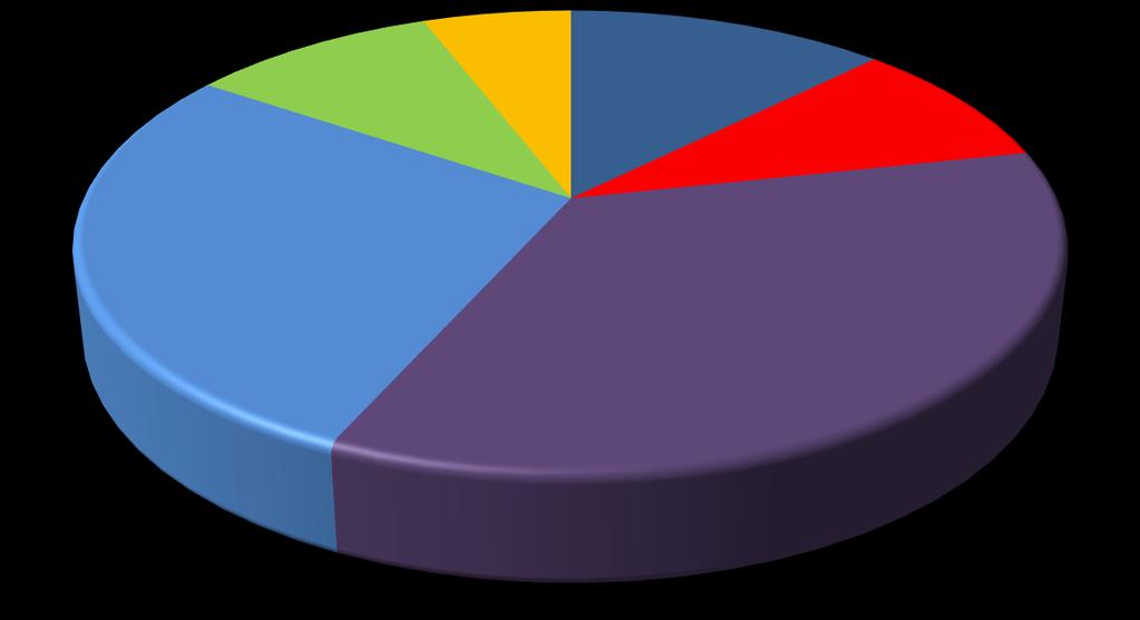 Bireysel; 13% Kurumsal; 10% SEÇ; 7% Bireysel; 14% HORECA; 9%