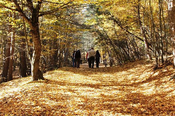 Fotoğraf çerçevesi içine yerleştirilecek nesneleri seçimi ve düzenlenmesi ile ilgili bir diğer önemli konu da fotoğrafın yatay mı yoksa dikey mi kaydedileceğidir.