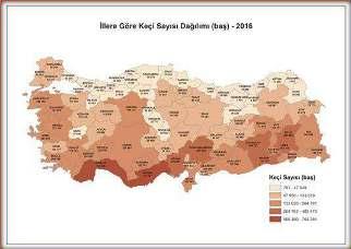 Keçi sayısında ise yine bir önceki