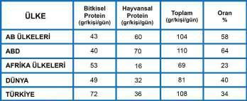 duyulmaktadır. Protein, saç telinden tırnaklara kadar, tüm hücrelerin önemli bir fonksiyonel ve yapısal bileşenidir.