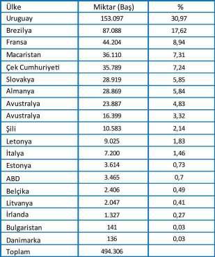 Büyükbaş hayvan ithalatındaki artış daha çok besilik ithalatından kaynaklı olup büyükbaş için %164 olarak