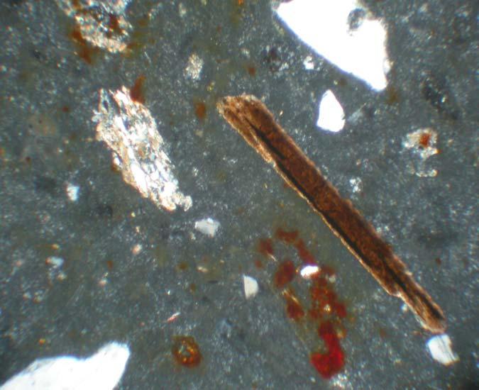 87 D numunesinin binoküler mikroskopik görünümü(şekil 5.26): Ezmeli batede serbest konuma gelen temiz zeolitler görüldüğü gibi serbest kirletici mineraller de görüntülenmiştir.
