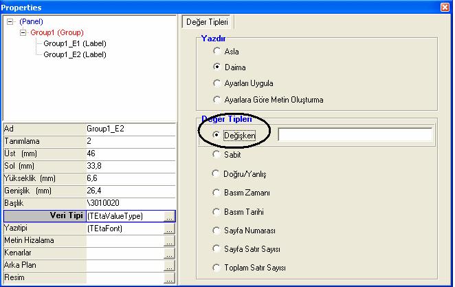 Başlık kısmına uygun kod yazıldıktan sonra Veri Tipi tıklanır, bu etiket değişken olduğundan dolayı