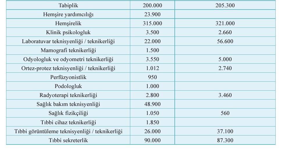 Özetlemek