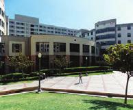 UNIVERSITY OF CALIFORNIA LOS ANGELES LOS ANGELES/ AMERİKA Okulumuz, dünya sıralmasında ilk sıralarda yer alan Kaliforniya Üniversitesi kampüsünde bulunmaktadır.