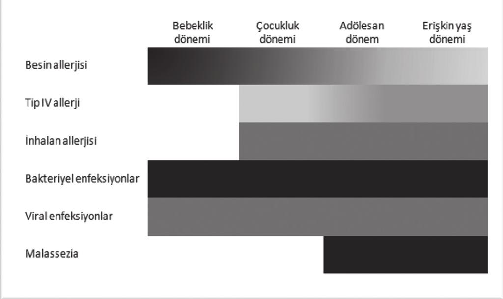 12 Turkderm - Arch Turk Dermatol Venerology tespit edilen yüksek sensitizasyon oranlarına rağmen, bu alerjenlerin AD kliniği ile ilişkisinin düşük olması süreci daha karmaşık hale getirmektedir.