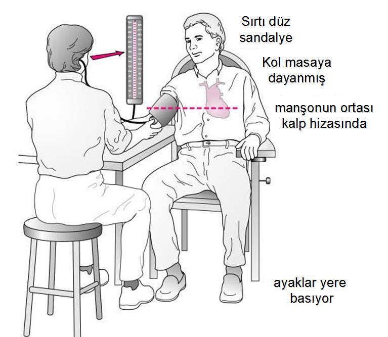 Kan basıncı (gerekirse ortostatik