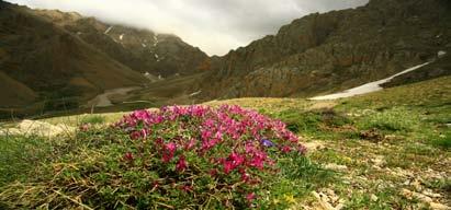 1 Arazi ve İklim Land and Climate 1.