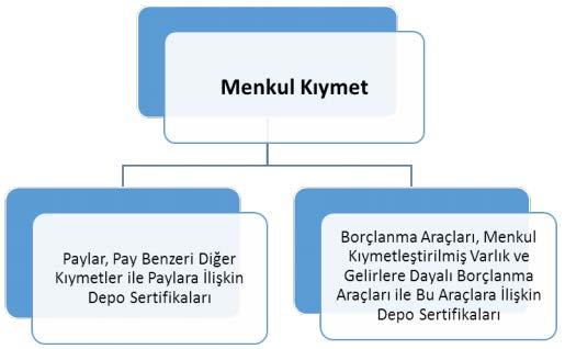 veya tanımının yerindeliği üzerinde zaman harcamaksızın fonksiyonu itibariyle menkul kıymeti anlamak mümkün olacaktır.