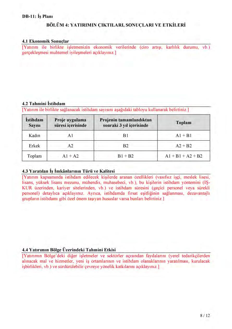 DB-11 İş Planı (Devam) 117 GELİŞEN