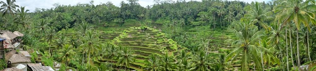 Bali'ye geri döneceğiz elbette ama ilk durak güzeller güzeli Gili Adaları. Bali'nin doğusundaki Lombok'un kuzeybatı kıyılarında yer alan bu adalar için cennetten bir köşe desek yeridir herhalde.