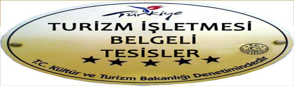 TÜRKİYE GENELİNDEKİ TURİZM BELGELİ TESİS İSTATİSTİKLERİ 1982 yılında 339 adet turizm yatırımı belgeli tesis-36.332 yatak, 569 adet turizm işletme belgeli tesis-62.