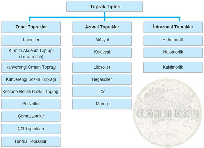 Başlıca Toprak Tipleri ve Özellikleri Toprak, üzerinde tüm canlıların barınıp yaşadığı, insan ve hayvan beslenmesi için gerekli ürünlerin yetiştiği yaşayan canlı bir varlıktır ve yaşamın kaynağıdır.