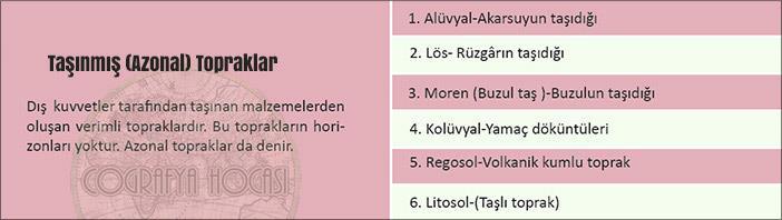 Ot verimi yüksek olduğu için buralarda, yoğun olarak büyük baş hayvancılık yapılır. Ukrayna, Rusya ve Kanada da; Türkiye de Kuzeydoğu Anadolu da yaygındır.