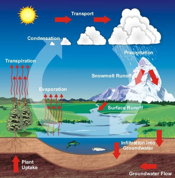 Hidrolojik Araştırmalar Su Miktarı Su Kalitesi Yüzey suyu TAŞINMA Çok çeşitli hidrolojik koşullar Wetland hydroperiod is the seasonal pattern of the water YOĞUNLAŞMA