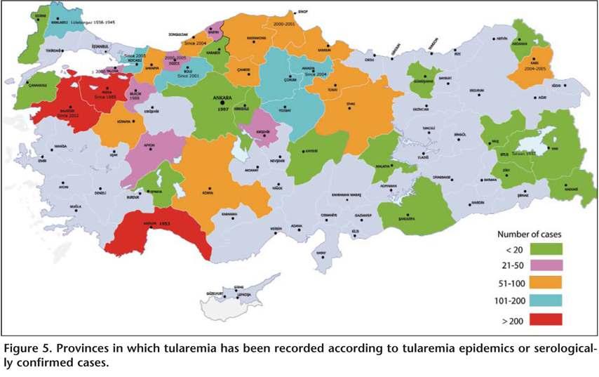 KILIÇ S Francisella tularensis ve Türkiye'de Tularemi