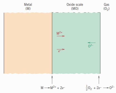 oksitlenme Metal oksit filmi (MO) gaz (O 2 ) Redüksiyon yarı reaksiyonu
