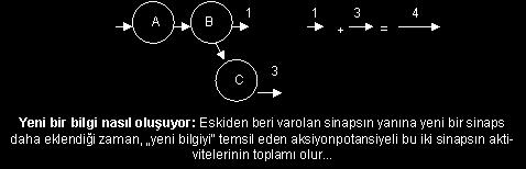 10 uyarak Hak kı inkâr edendi. Bütün mesele insanın kendi içindeki mücadelenin (büyük cihad) dıģardaki-toplum içindeki uzantısından ibaretti.