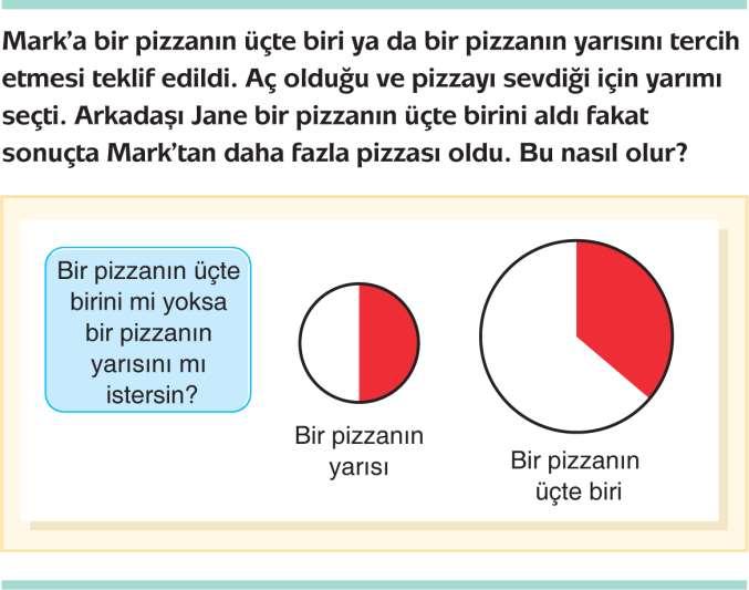 Doğal Sayı Kavramları Üzerine İnşa