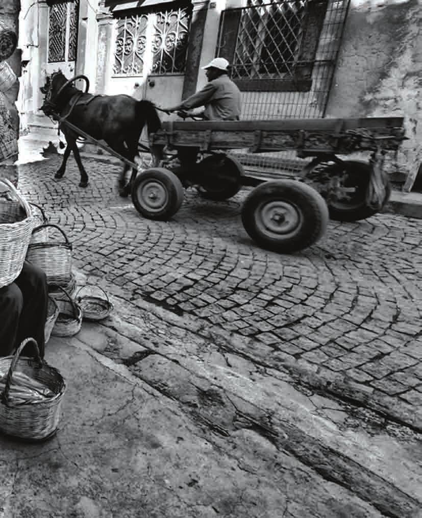 Basketry Sepetçilik