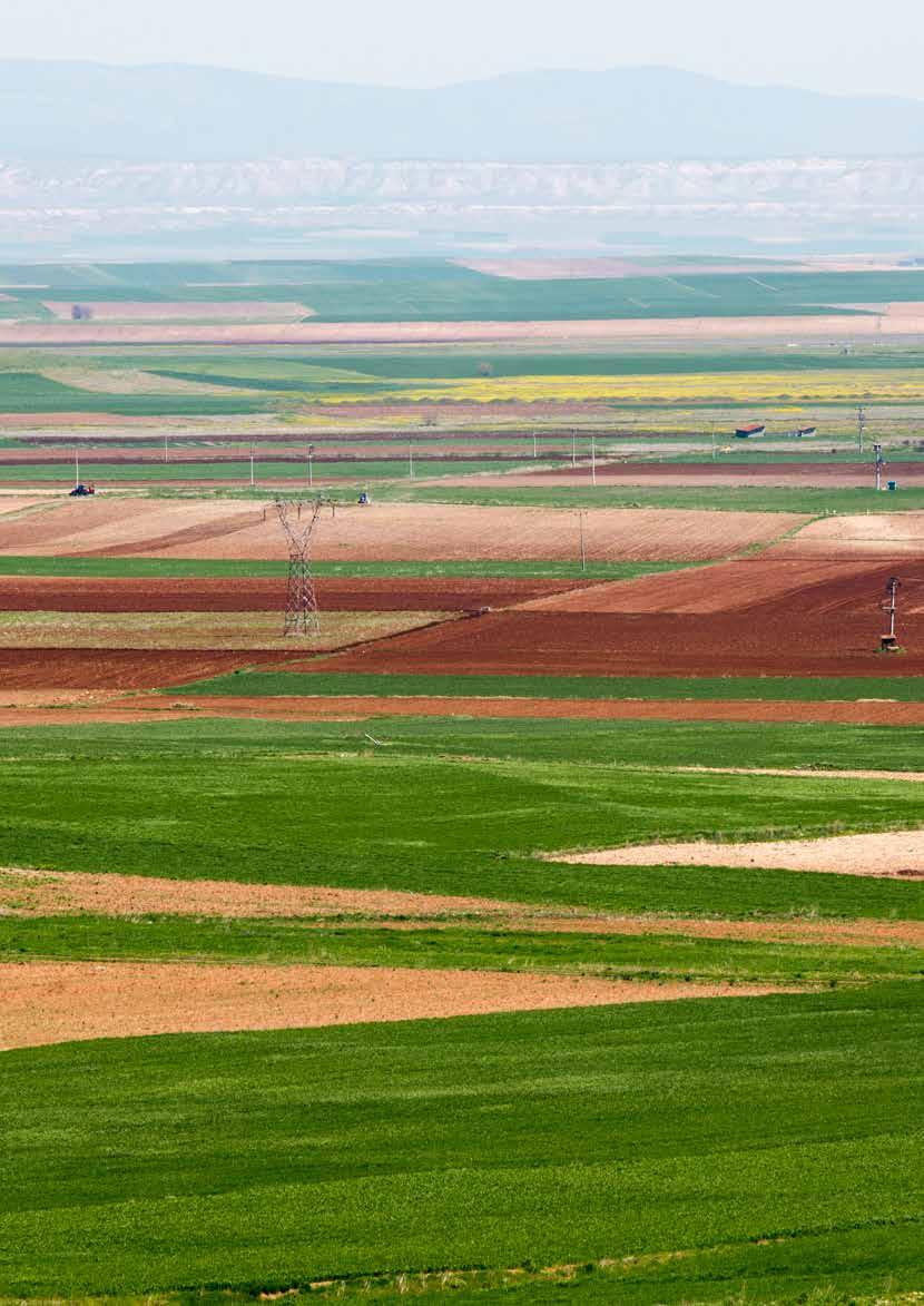 Eskişehir de Termik Santral Tehlikesi