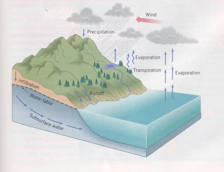 Su Döngüsü Rüzgar Yağış Evaporasyon Transpirasyon