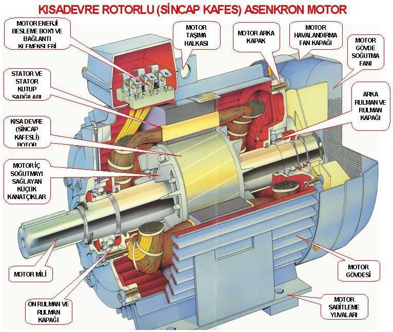 MOTOR