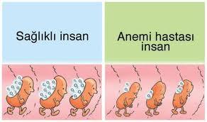 ANEMİ (KANSIZLIK) Kanda kırmızı kan hücreleri (alyuvarlar) bulunur. Bu kan hücrelerinin yapısında oksijenin taşınmasını ve bu hücrelerin kırmızı olmasını sağlayan hemoglobin bulunur.