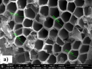 H 2 ön işlemli numunenin oluşan nanotüp çapları ortalama 35.78 nm iken işlemsiz numunenin ise 296.37 nm dir.