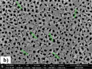 sonucunda oluşan TiO 2 tabaka görülmektedir. Literatüre bakıldığında HF çözeltisinde düşük voltajlarda nanotüpler oluşmaktadır.