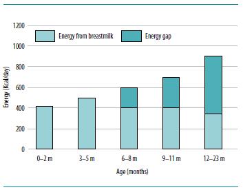 Enerji (Kcal/gün) Günlük ihtiyacın % si Yaşamın 6-23. ayları 6.