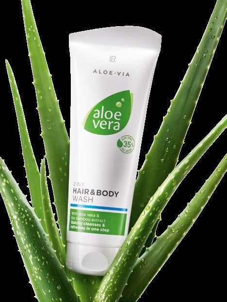 %26 Aloe Vera Saç ve Vücut Şampuanı 2 li Set 2 x Saç ve