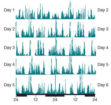 Gün boyunca bir çok kez düzensiz uyku dönemleri (en az 3) görülür Uyku ve uyanıklığın