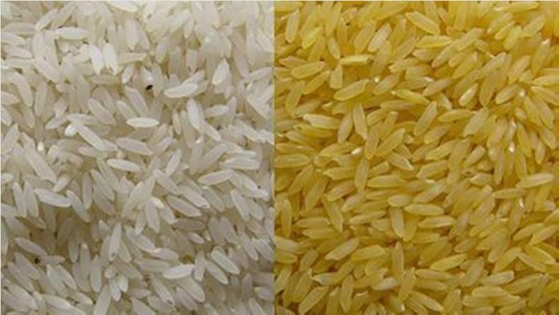 Değiştirilmemiş beyaz pirinç (solda) ve genetik modifiye