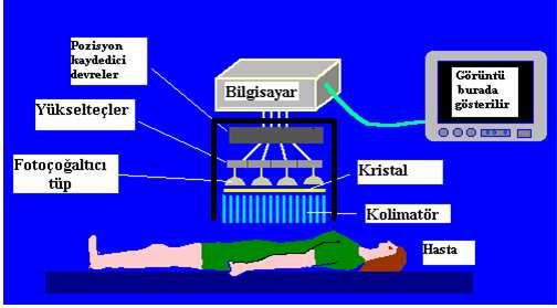 Şekil 2.1 Görüntüleme sisteminin çalışma prensibi İki tip görüntüleme şekli vardır. 1. Planar görüntüleme 2.