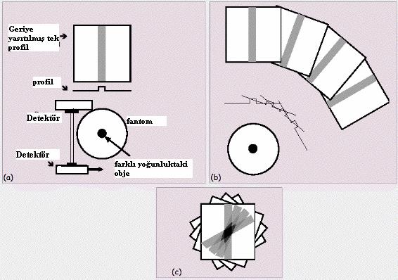 Kesit görüntülerinin eldesinde kullanılan matematiksel yöntemler filtre geriye projeksiyon yöntemi ve tekrarlayıcı teknikler. 2.