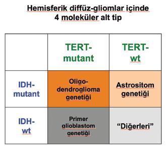 Eski tanımlamaların düşük gradeli gliom olarak isimlendirdiği grup ağırlıklı olarak IDH-mutant gliomlardan (genetik tanımlı astrositom ve genetik tanımlı oligodendrogliomdan) oluşur.