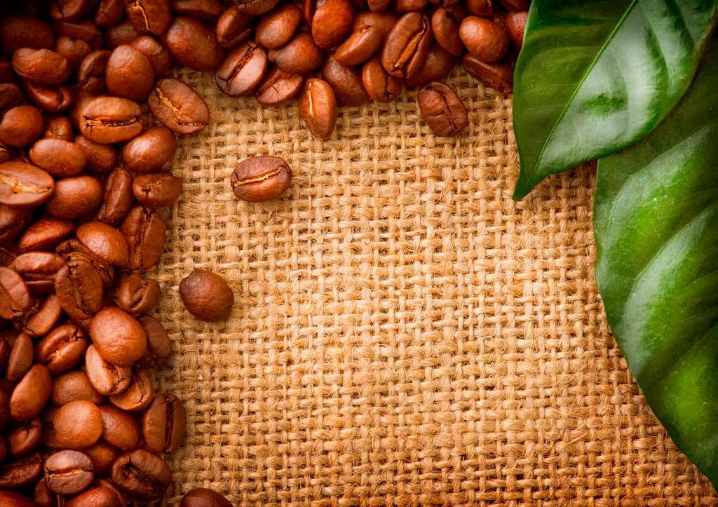 Günün her saatinde ve her anında içebileceğiniz, premium kalite Yörük Kahvesi, aromatik, komple lezzet dolu %96 orta kavrulmuş Arabica cinsi kahve, % Doğal Kakule ve % Doğal Tarçından geleneksel