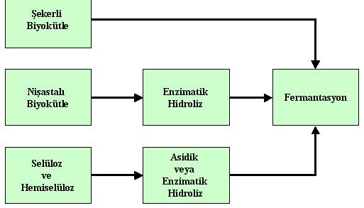 Fermantasyon Glikozun fermantasyonu ile etanol, aseton ve