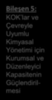 Yapılan çalışmalar Bileşen 5: KOK lar ve Çevreyle Uyumlu Kimyasal Yönetimi için Kurumsal ve Düzenleyici Kapasitenin Güçlendirilmesi Çıktı 5.