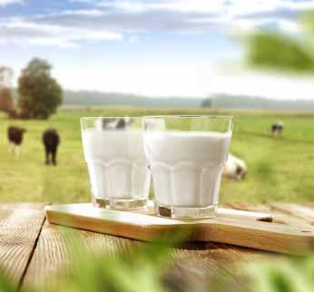 34 PINAR SÜT 2017 FAALİYET RAPORU Sürdürülebilirlik Çevre Anlayışı Pınar Süt, 2017 yılında da çevre ve toplumun sürdürülebilirliği için yatırımlarına devam etti.